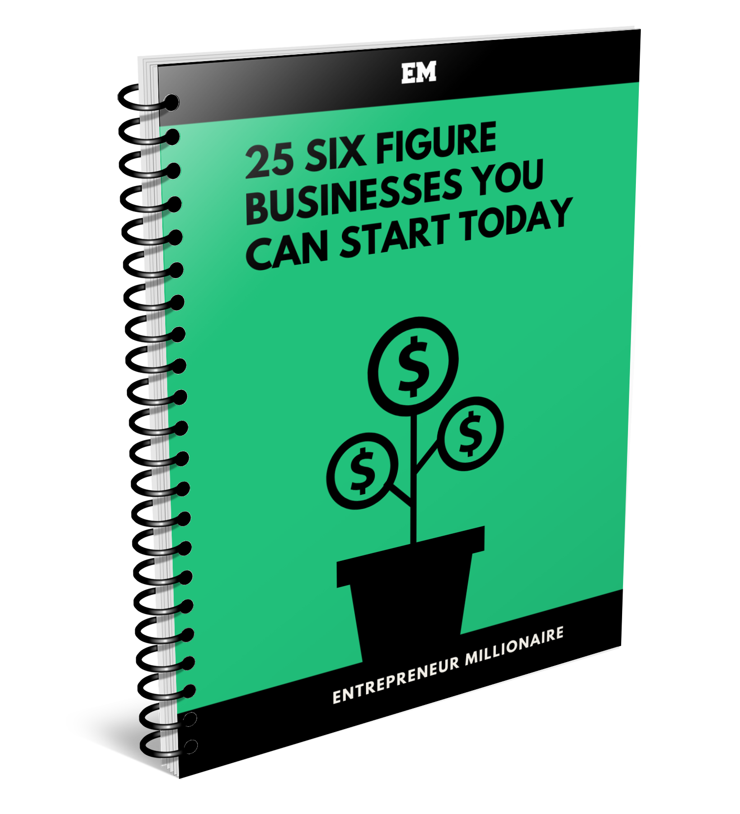 25 Six Figure Businesses You Can Start Today Guide Cover