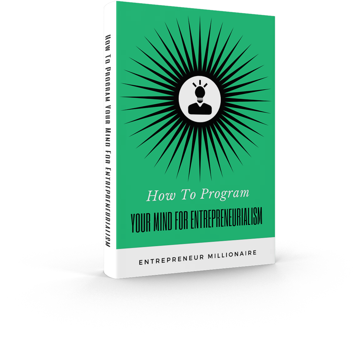 How To Program Your Mind For Entrepreneurialism eBook